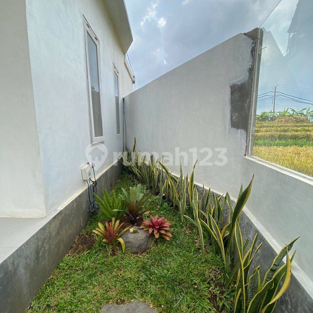 Villa for Rent in Cemagi, Mengwi Badung Bali - 2 Bedrooms, Ricefield View