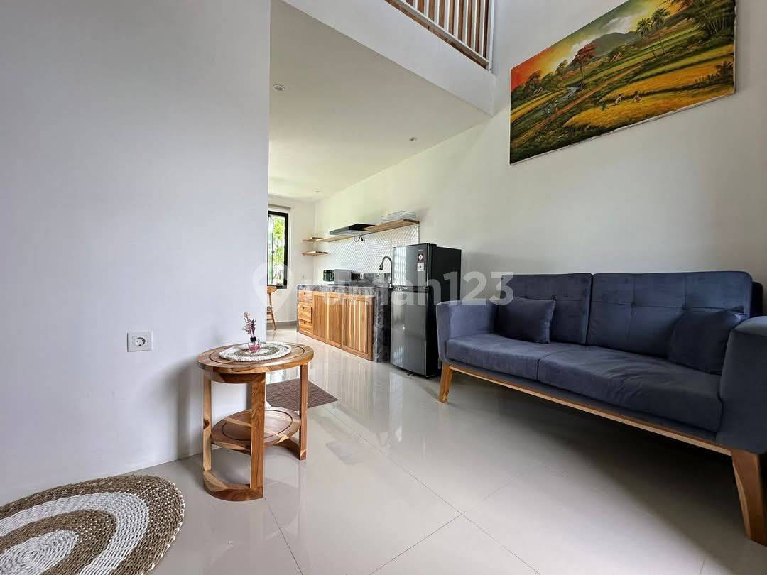 Brand new Mezzanine 1 Bedroom with Rice Field View in Renon, Denpasar Bali