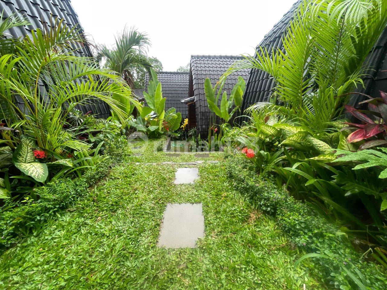 Brand New Villa Joglo in Canggu, Bali - Strategic Location with Rice Field View